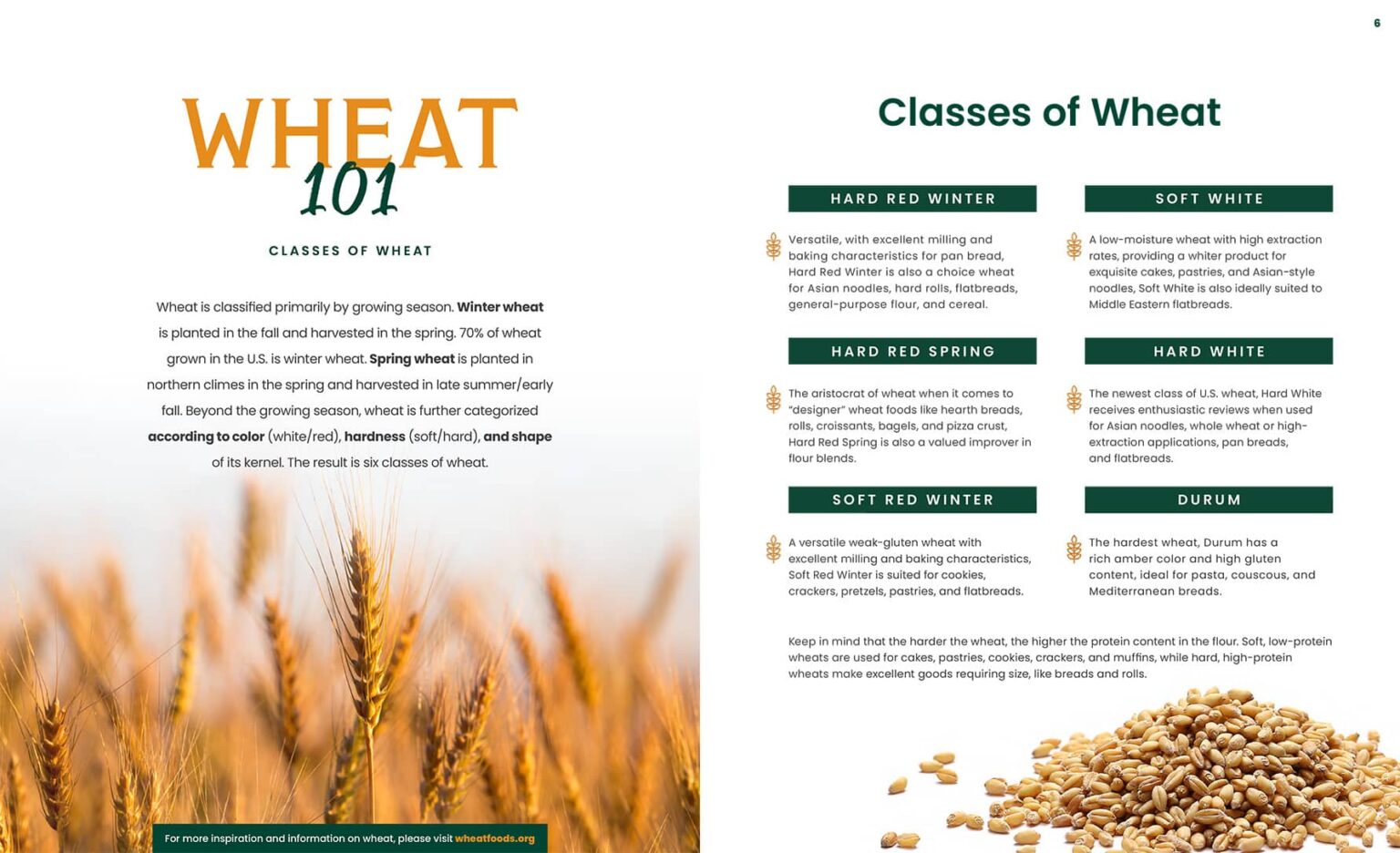 Classes of Wheat - Wheat Foods Council