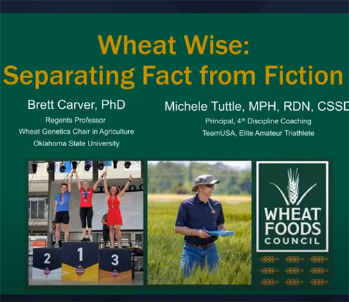 Wheat Wise: Separating Fact from Fiction